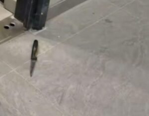 image-1772136815_d21a071a-d3dc-4532-bf7e-d2e444df3fc4