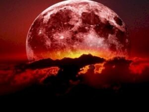 image-1772203133_resize-1