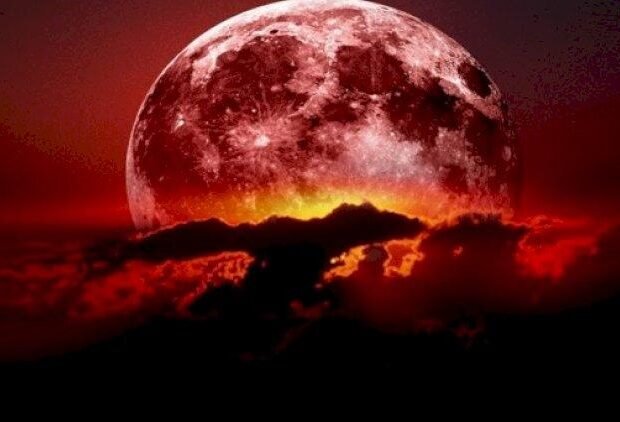 image-1772203133_resize-1