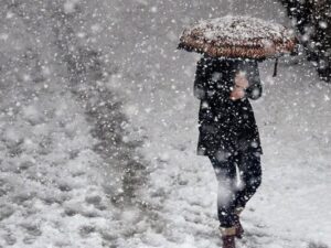 image-24-09-12-kis-kar-aa