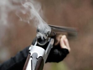 image-66b225462e3eb66b225462e3ec172295098266b225462e3e566b225462e3e8