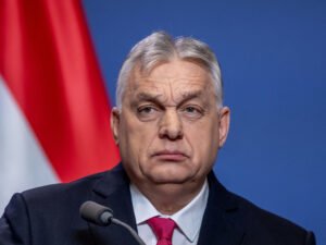 image-6994bbe602e8bd3ccc61c8d0