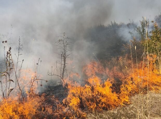 image-699749413e4ca699749413e4cb1771522369699749413e4c7699749413e4c8