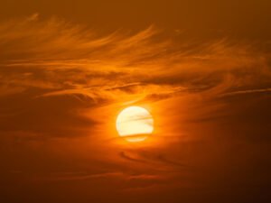 image-699a264202e8bd0929553199