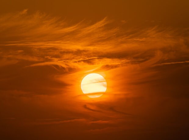 image-699a264202e8bd0929553199