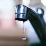 image-enyh8mvtqxnw0egixywlkj0a2cgimh4e3jsr0xpr