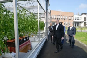 image-gtqkfrbxh9falwuo23l6gc7ho1kk15tcdpjmst9e_640