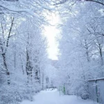 image-image_940x_6978b8be7a7ee