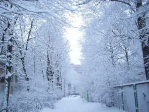 image-image_940x_6978b8be7a7ee