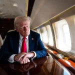 image-image_940x_697eea94888be