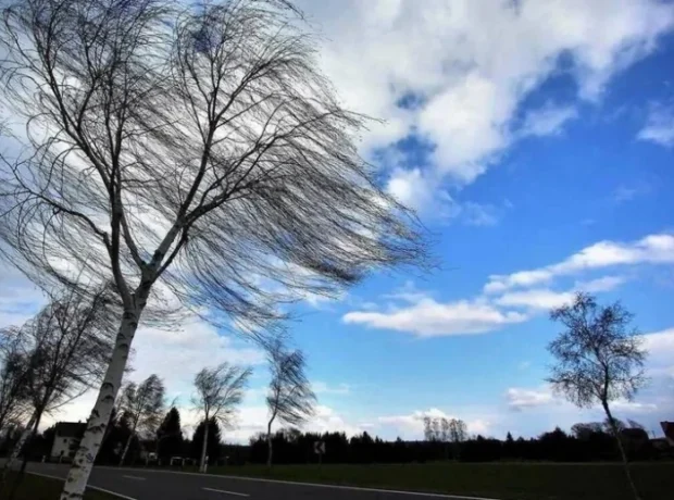 image-image_940x_6995b8c4e7c07