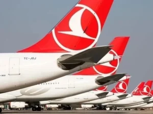 image-image_940x_6999acdda2732