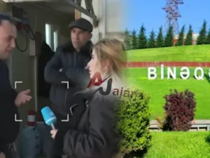 image-image_940x_699acfea130a6