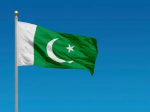 image-image_940x_699b443a59d50