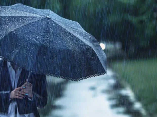 image-image_940x_699dccb19c133