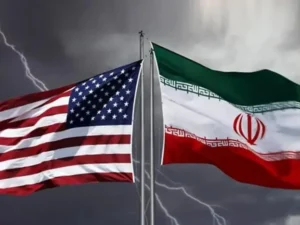 image-image_940x_699e86be5dcde