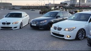 image-media-whatsapp-image-2026-02-16-at-11-04-59-2-gypf3j