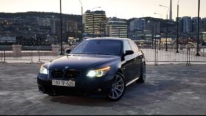 image-media-whatsapp-image-2026-02-16-at-11-06-54-2mfg80