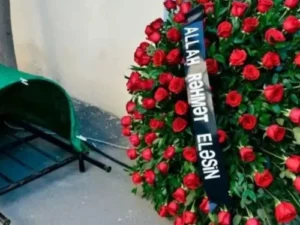 image-photo_315135-750x375