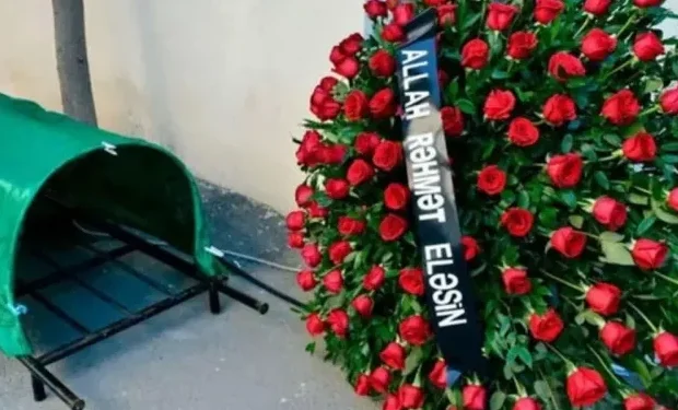 image-photo_315135-750x375