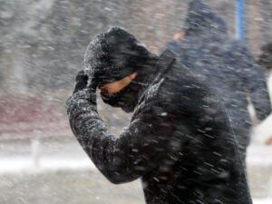 image-seventimes_72cb23c622da06fc9c98a61c9f2409c8_u6t7l9bg8oxcfyzvnjwi_1771428015