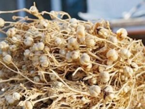 image-uzerlik-1-750x403