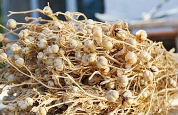 image-uzerlik-1-750x403