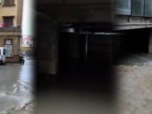 image-01bd7aee-aad3-4feb-a3c2-4def70cd7d25-1140x570