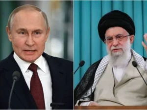 image-01kjn8yjvb9jbz66wtvvmdz2z2-large