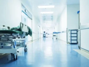 image-01kjwse6bv0ktbj96nwmy89vcq-large