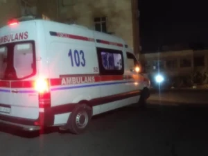 image-01kmbgaat2kxhsf74a1s69d10f-large