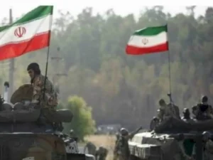 image-01kmnr6gdkxm5sbygz8y7e5f19-large