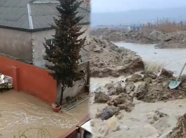 image-01kmqj9ddmp6nmc8vv38ehe69h-large-1