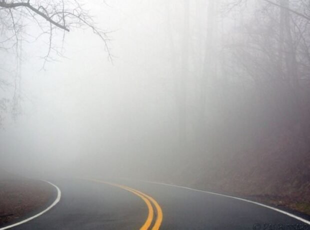 image-1743229223_duman_2