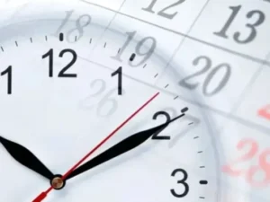 image-1759725823_11-768x403