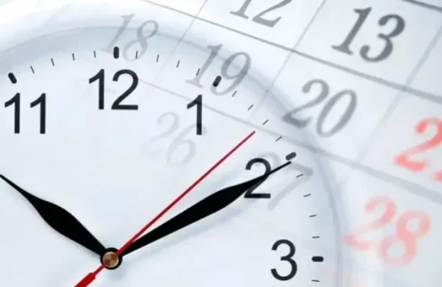 image-1759725823_11-768x403