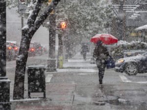 image-1766048318_qar