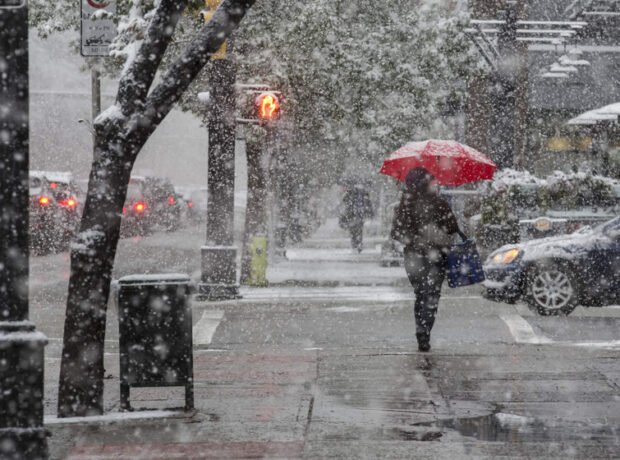 image-1766048318_qar