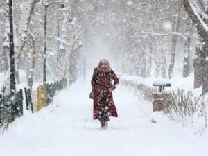 image-1768917603-9349