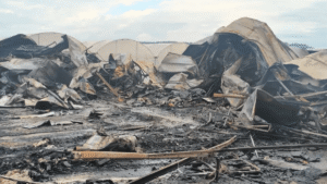 image-1773996745_ex1ukdfzru1hocj7te0nwnxhcez3tnoosoj6ndi3_1200