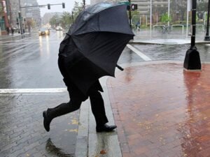 image-1774440804_img_6690