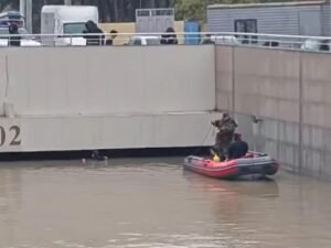 image-1774626337_1774625216