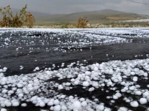 image-1a873717b757b748897b7023088e620c