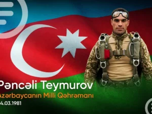 image-4vh96h618spepbhaa7zq6ehey6qduifxaej7gzp5_1200