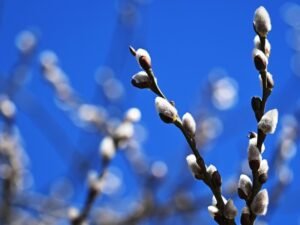 image-69b20fad02e8bd03f356dbb2