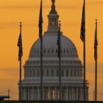 image-69bb186702e8bd6852574d60