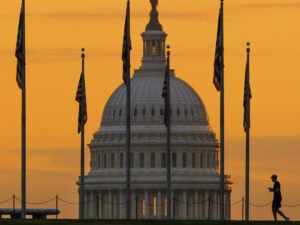 image-69bb186702e8bd6852574d60