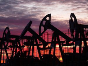 image-69bb947fae5ac9709c0caa04