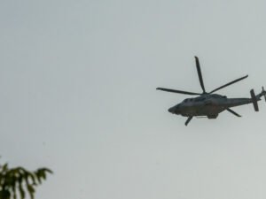 image-69bf5d6f02e8bd19393bb328