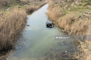 image-69c384cac4f9369c384cac4f94177442119469c384cac4f8f69c384cac4f91_1774422523